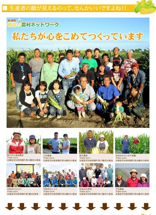 北海道産 南幌町とうもろこし 食べ比べ