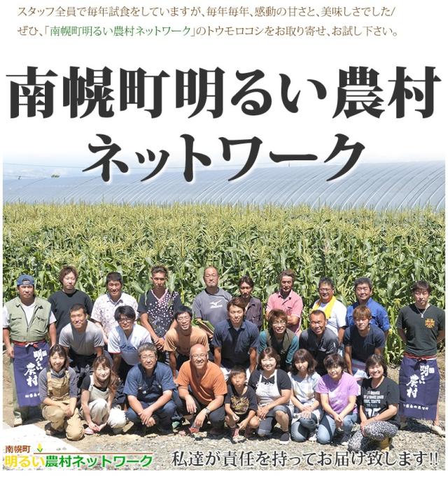 北海道産 南幌町とうもろこし 食べ比べ