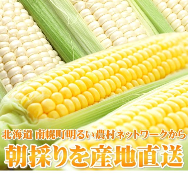 北海道産 南幌町とうもろこし 食べ比べ