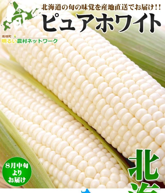 北海道産 南幌町とうもろこし ピュアホワイト