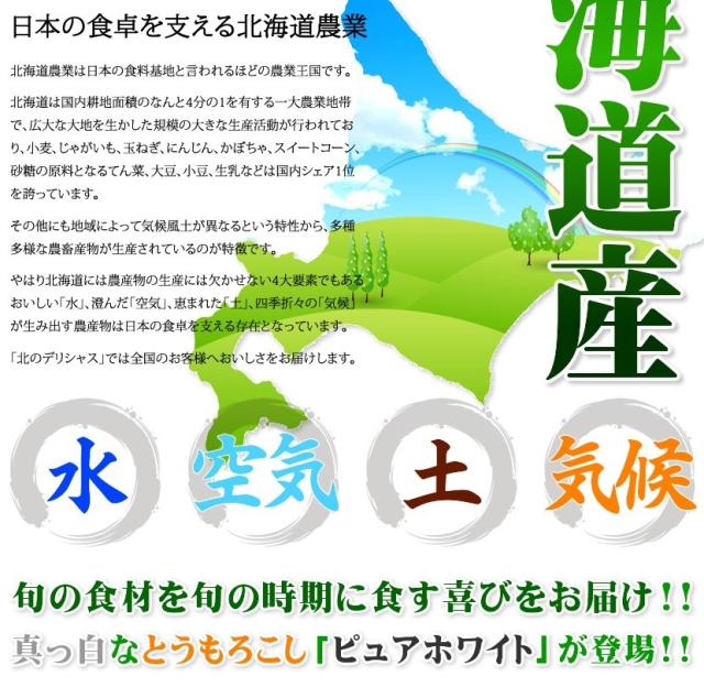 北海道産 南幌町とうもろこし ピュアホワイト