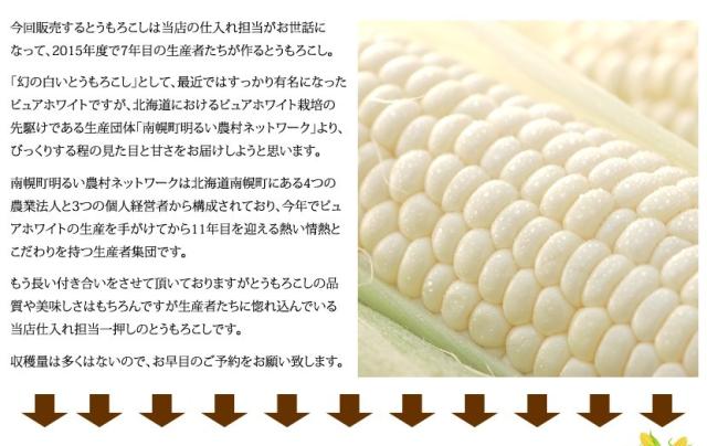 北海道産 南幌町とうもろこし ピュアホワイト
