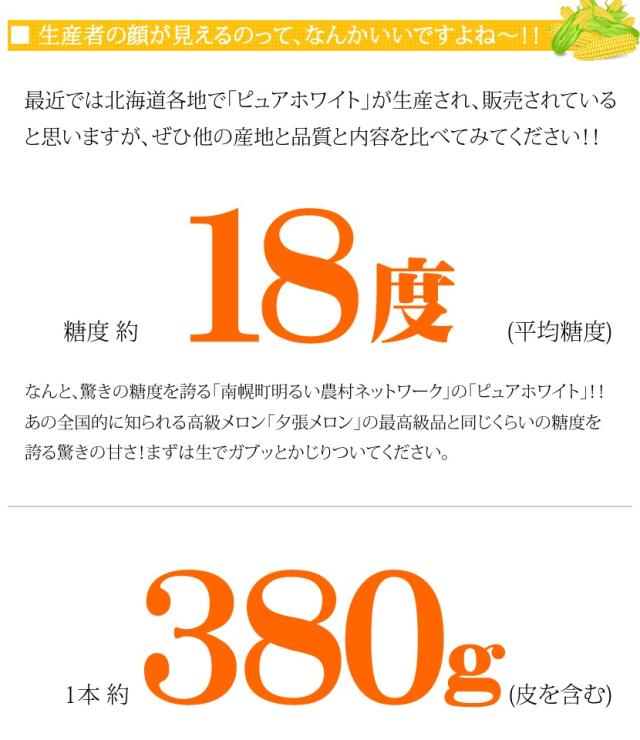 北海道産 南幌町とうもろこし ピュアホワイト