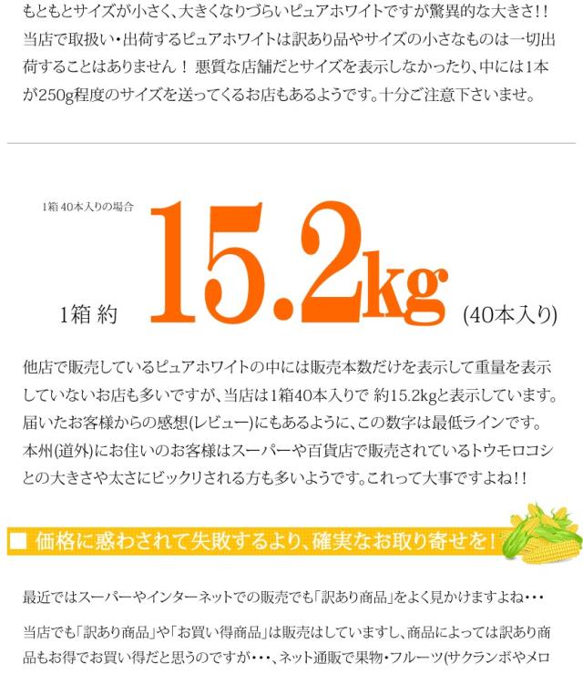 北海道産 南幌町とうもろこし ピュアホワイト