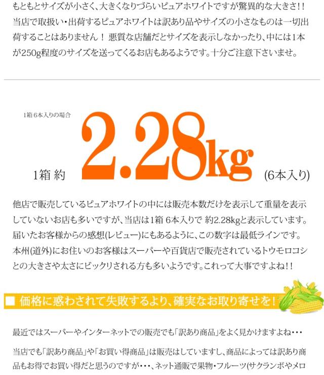 北海道産 南幌町とうもろこし ピュアホワイト