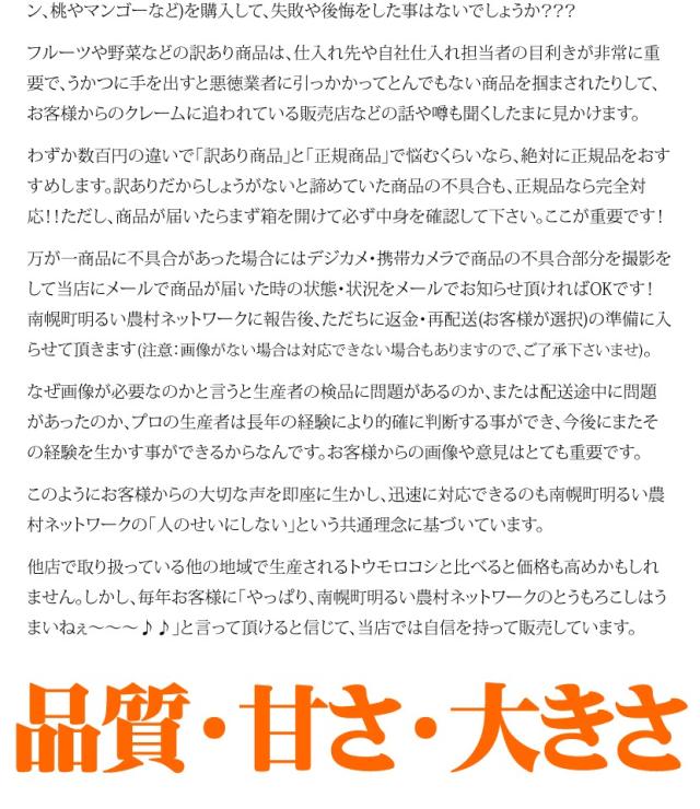 北海道産 南幌町とうもろこし ピュアホワイト