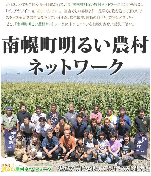 北海道産 南幌町とうもろこし ピュアホワイト