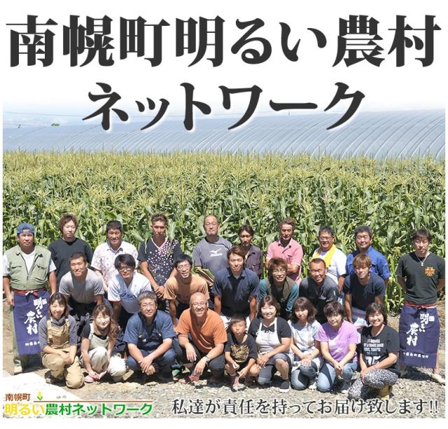 北海道産 南幌町とうもろこし ピュアホワイト