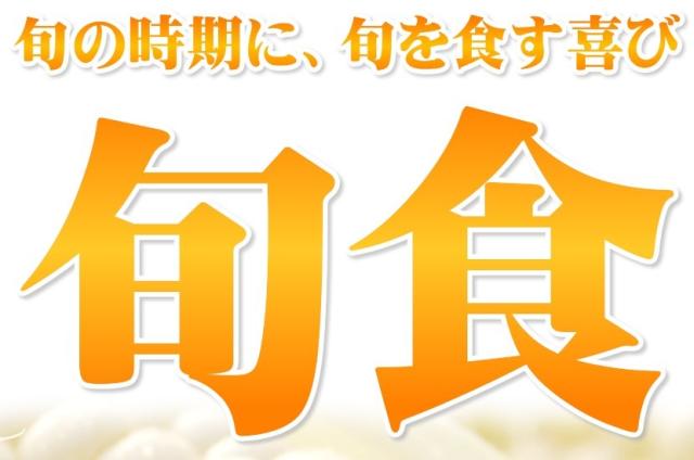 北海道産 南幌町とうもろこし ピュアホワイト