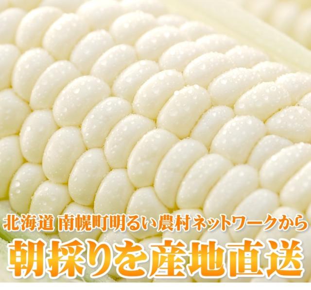 北海道産 南幌町とうもろこし ピュアホワイト