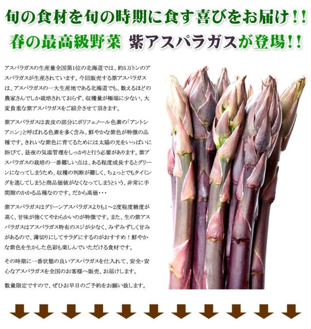 北海道産 アスパラガス 3色セット