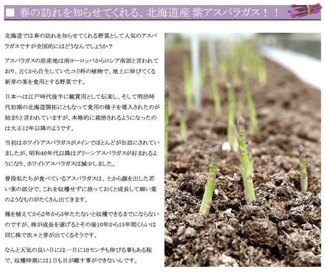 北海道産 アスパラガス 3色セット