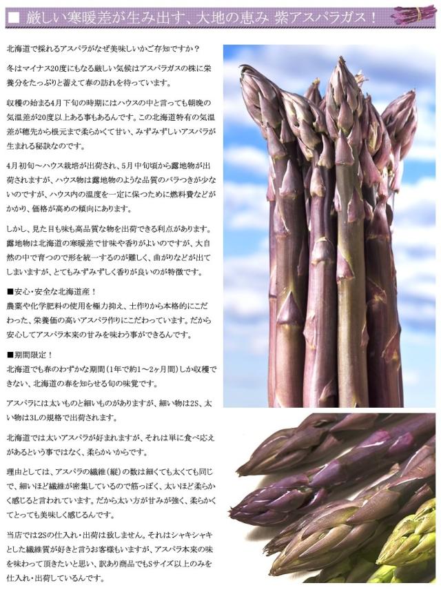 北海道産 アスパラガス 3色セット
