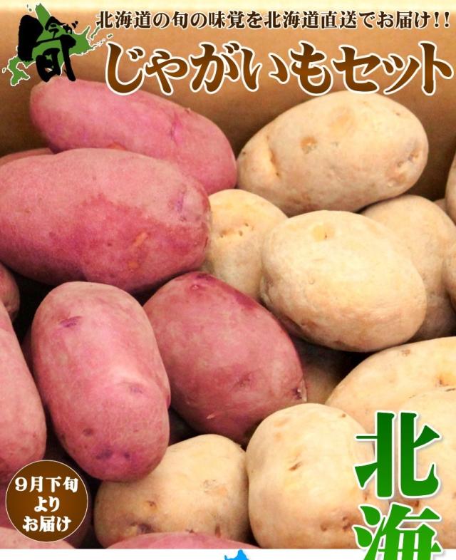 北海道産 じゃがいも レッドインカ