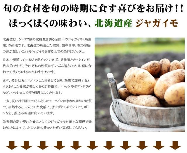 北海道産 じゃがいも レッドインカ