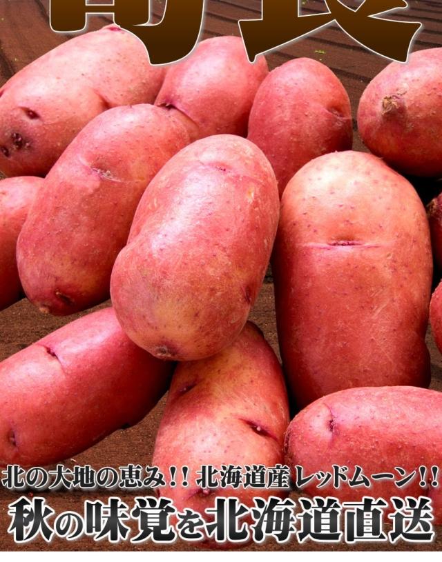 北海道産 じゃがいも レッドインカ