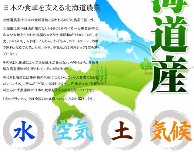 北海道産 じゃがいも レッドムーン