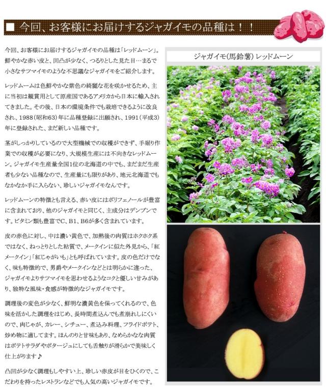 北海道産 じゃがいも レッドムーン