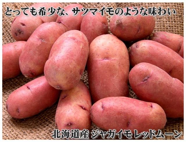 北海道産 じゃがいも レッドムーン