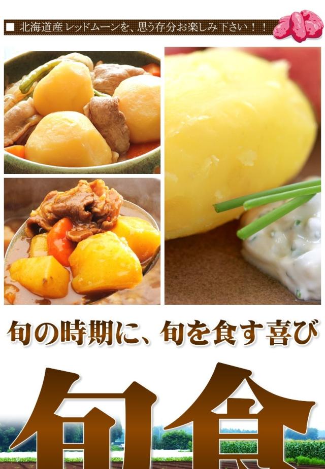 北海道産 じゃがいも レッドムーン