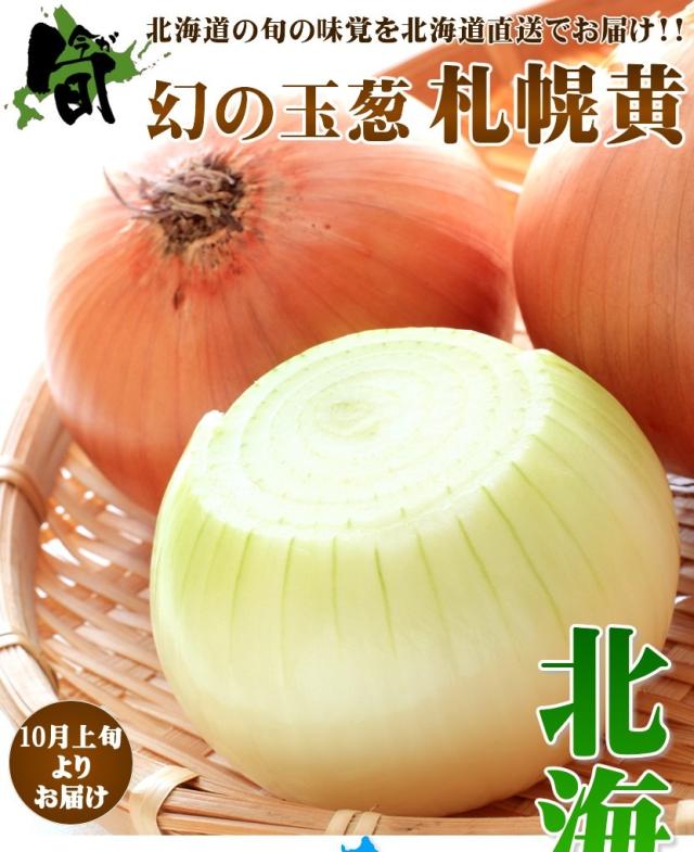 北海道産 野菜 札幌黄