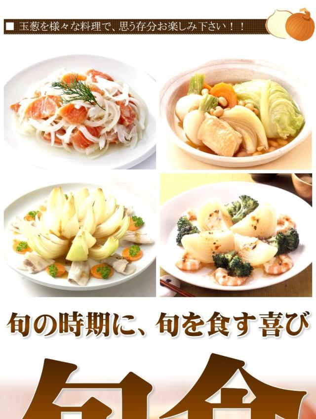 北海道産 野菜 札幌黄