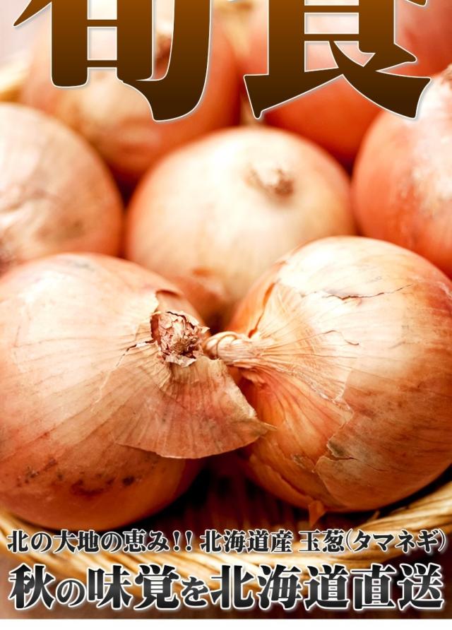 北海道産 野菜 札幌黄