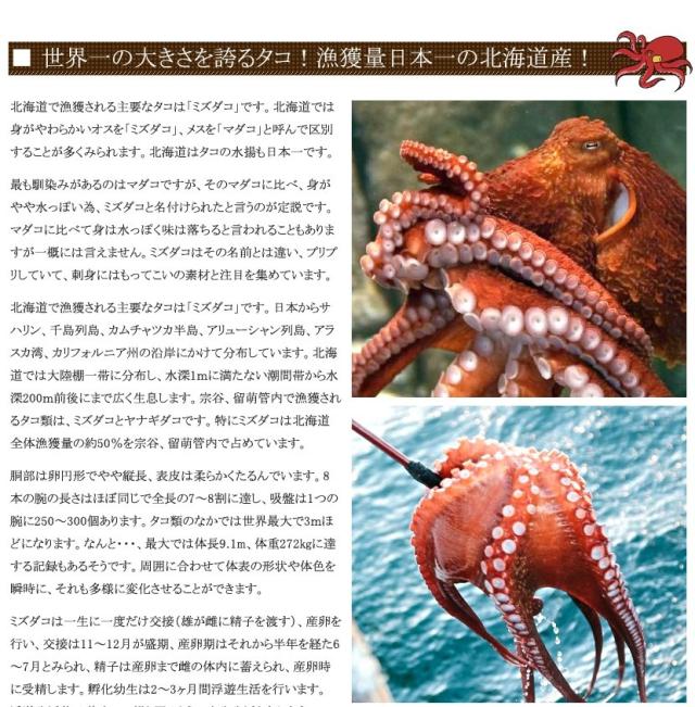 北海道産 たこ たこしゃぶ