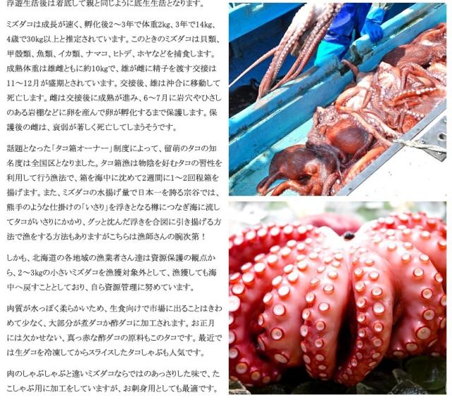 北海道産 たこ たこしゃぶ