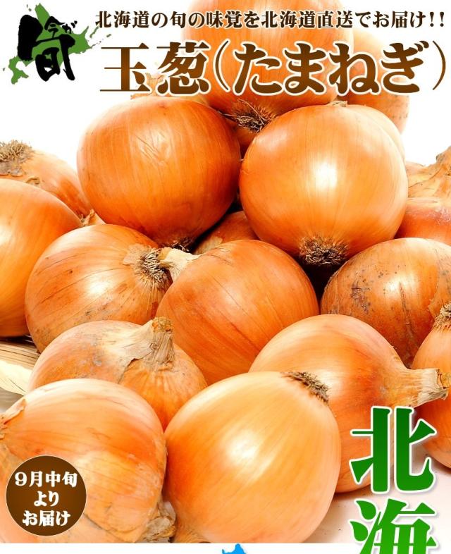 北海道産 野菜 玉ねぎ