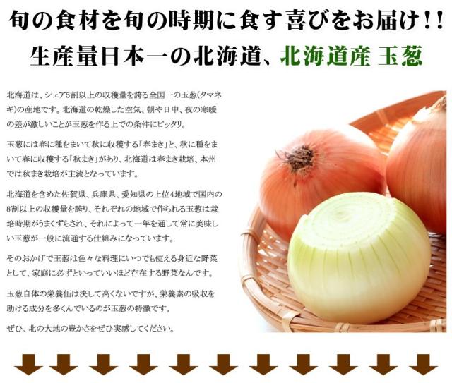北海道産 野菜 玉ねぎ