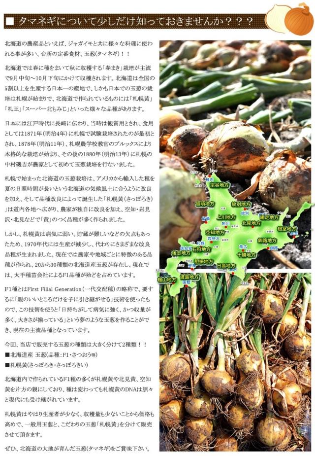 北海道産 野菜 玉ねぎ
