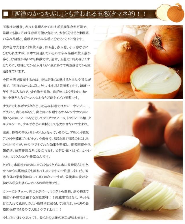 北海道産 野菜 玉ねぎ