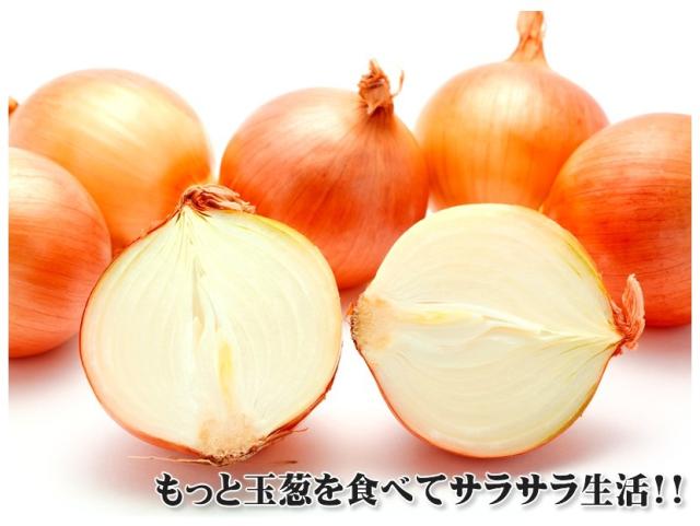 北海道産 野菜 玉ねぎ