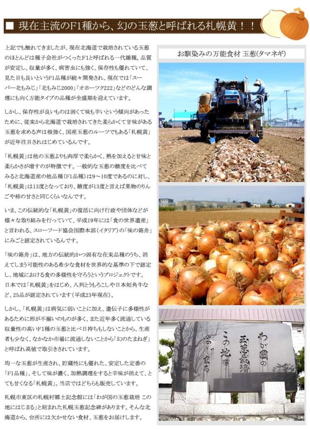 北海道産 野菜 玉ねぎ