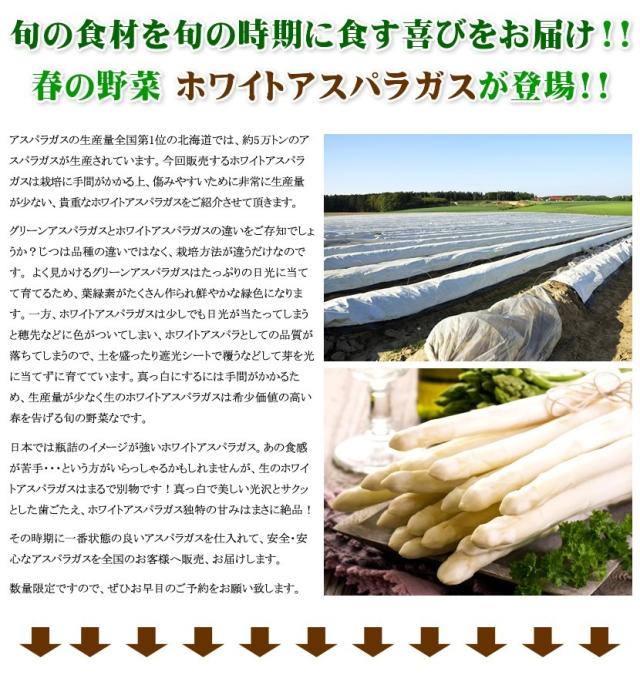 北海道産 アスパラガス ホワイトアスパラ