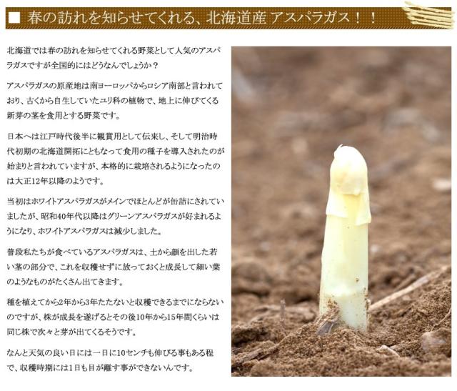 北海道産 アスパラガス ホワイトアスパラ