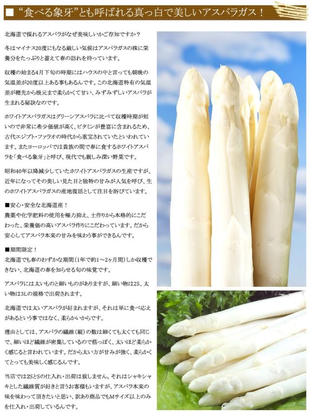 北海道産 アスパラガス ホワイトアスパラ