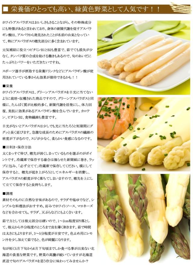 北海道産 アスパラガス ホワイトアスパラ