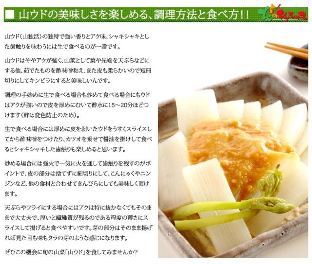 北海道産 山菜 山うど