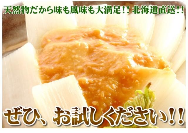 北海道産 山菜 山うど