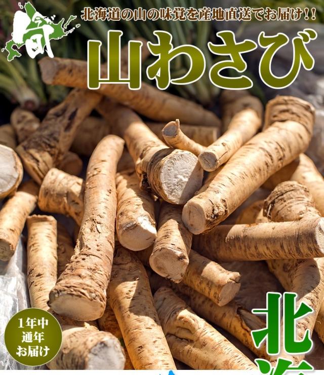 北海道産 山菜 山わさび