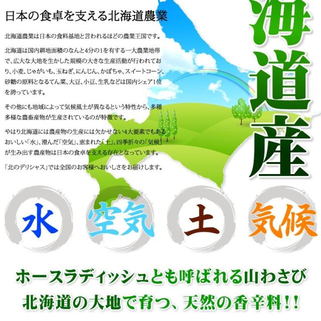 北海道産 山菜 山わさび