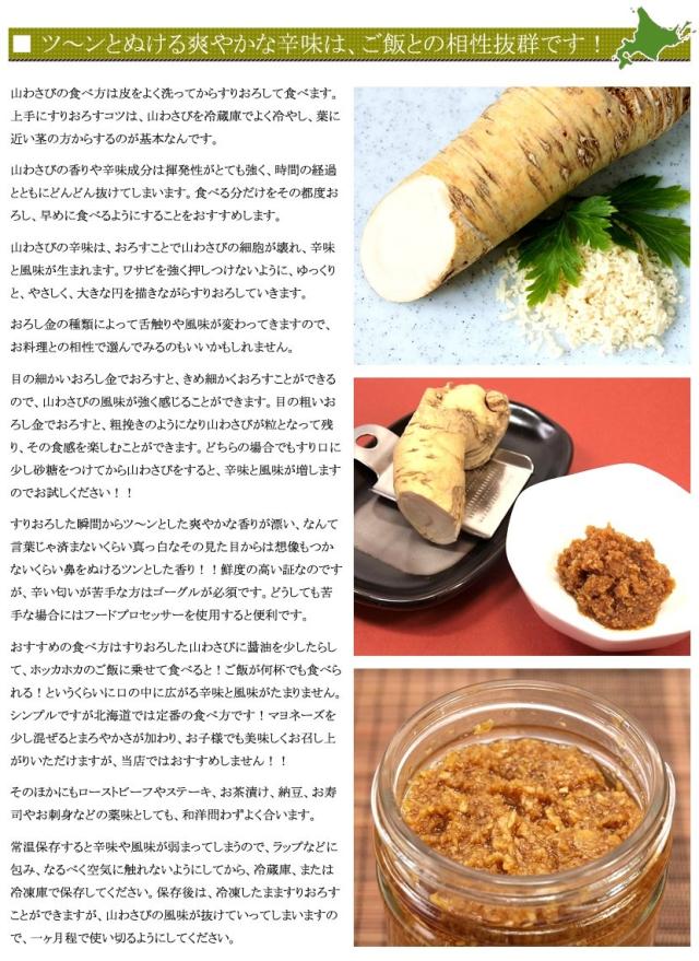 北海道産 山菜 山わさび