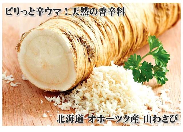 北海道産 山菜 山わさび