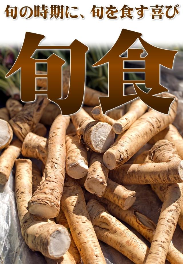 北海道産 山菜 山わさび