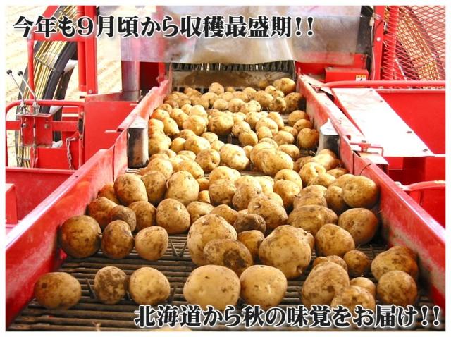 北海道産 じゃが玉セット