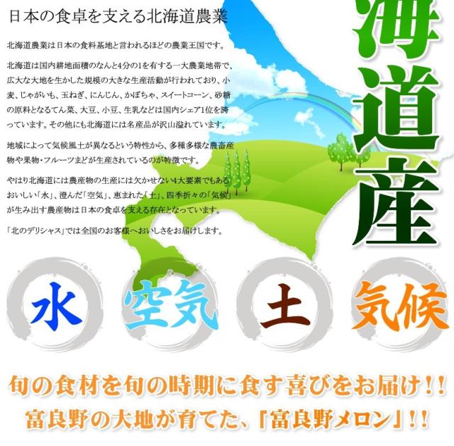 北海道産 富良野メロン