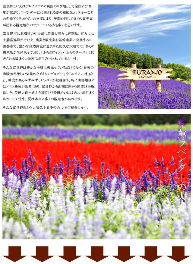 北海道産 富良野メロン