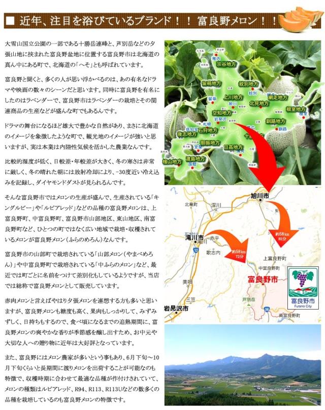 北海道産 富良野メロン